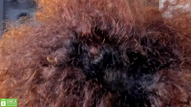 Alika Shanty online show from 03-20-26, 05:51