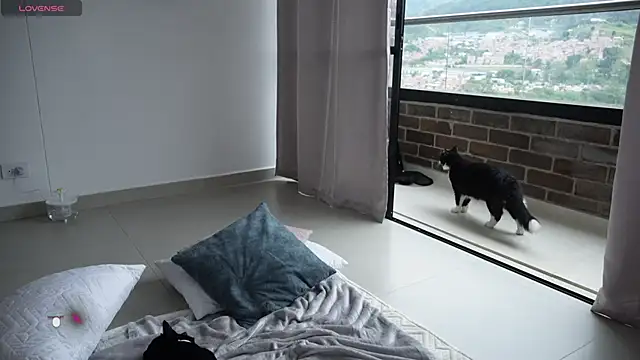 Veronica ar online show from 02-12-25, 07:24