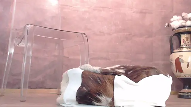 Snapshot of Lady-Nymph chatting on 10-26-25, 05:19 Lady-Nymph online show from 10-26-25, 05:19