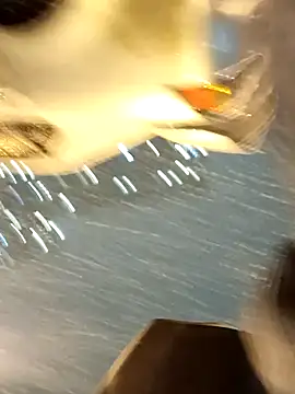 Snapshot of Krasav4ik4ik chatting on 01-11-25, 07:16 Krasav4ik4ik online show from 01-11-25, 07:16