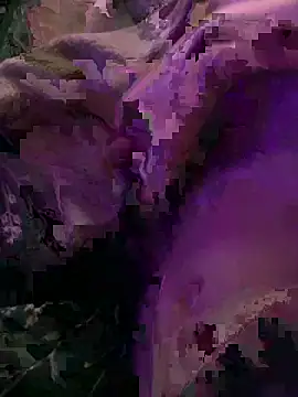 Snapshot of K100x chatting on 12-04-25, 08:28 K100x online show from 12-04-25, 08:28