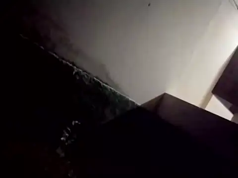 catdool online show from 02-28-25, 12:43