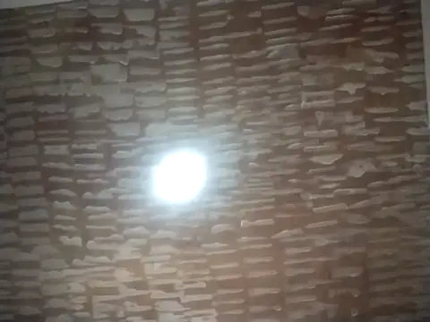 catdool online show from 09-22-25, 05:04