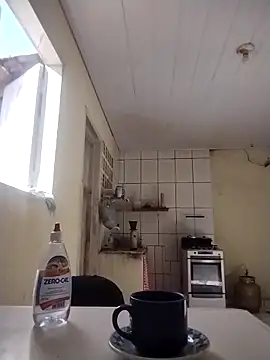 catdool online show from 11-21-25, 10:58