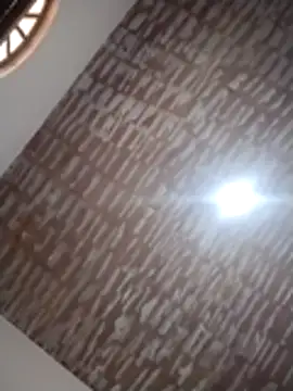 catdool online show from 12-14-25, 12:21