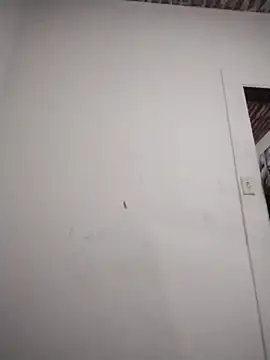 catdool online show from 02-06-26, 10:35