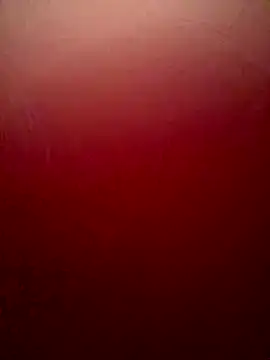 Snapshot of sweetAli_ chatting on 10-04-25, 11:25 sweetAli online show from 10-04-25, 11:25