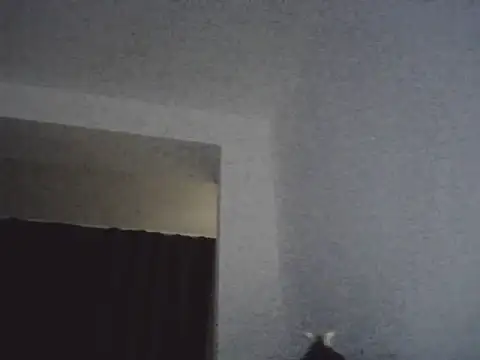 Snapshot of FallenDevil chatting on 03-13-26, 07:09 FallenDevil online show from 03-13-26, 07:09