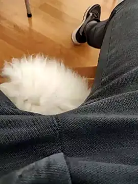 Snapshot of papiculo86 chatting on 02-02-25, 09:08 papiculo86 online show from 02-02-25, 09:08