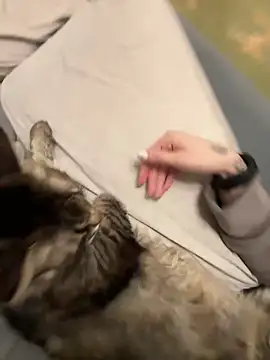 GraceCandy online show from 02-17-25, 10:14