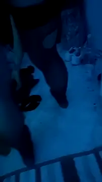 Snapshot of Misspadrona88 chatting on 12-13-25, 10:37 Misspadrona88 online show from 12-13-25, 10:37