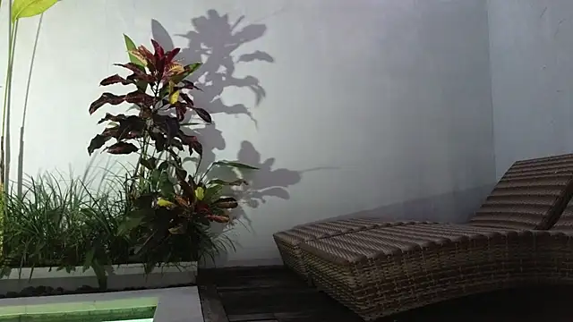 Snapshot of TammiLou chatting on 03-06-25, 10:52 TammiLou online show from 03-06-25, 10:52