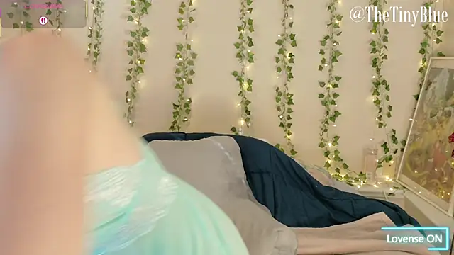 thetinyblue online show from 02-04-26, 05:41