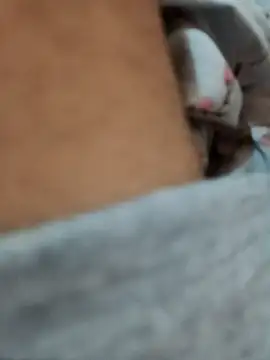 Snapshot of riggijaviersalas chatting on 11-14-25, 01:15 riggijaviersalas online show from 11-14-25, 01:15