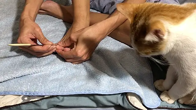 RiderFloor online show from 02-08-26, 08:12