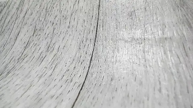 LittleSonya online show from 12-15-25, 04:55