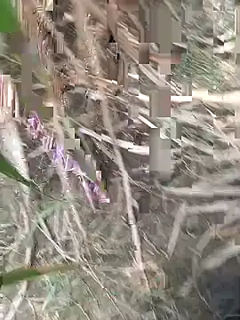 FinableKnee online show from 09-18-25, 04:47