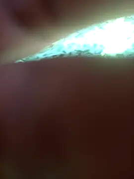 FinableKnee online show from 09-24-25, 05:00