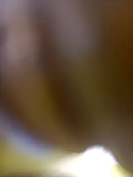 FinableKnee online show from 01-06-26, 10:08