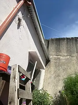 Alicbranca online show from 02-26-26, 02:05