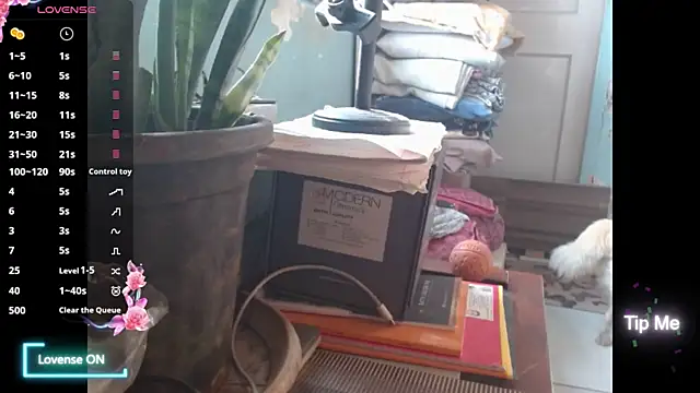 Star-Night online show from 02-01-26, 04:11