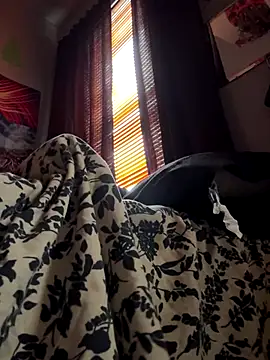 spideyzaddy online show from 11-26-25, 04:41