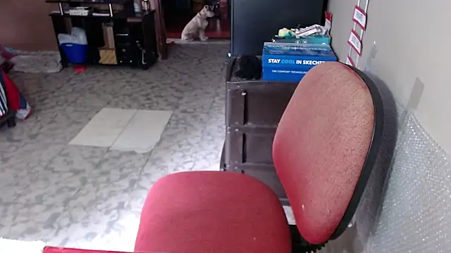 Barbiegomez online show from 03-19-26, 04:11