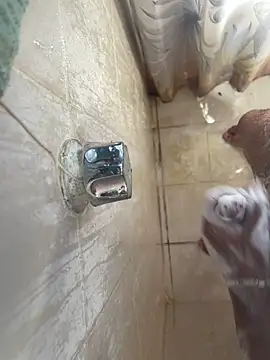 MisaelR10 online show from 09-23-25, 09:29