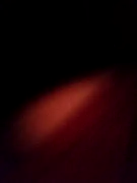 EISONREINA11 online show from 10-20-25, 02:50