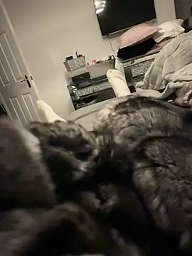 Furdale online show from 12-17-25, 04:13