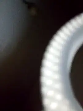 Snapshot of rodovlaz chatting on 02-19-25, 12:35 rodovlaz online show from 02-19-25, 12:35