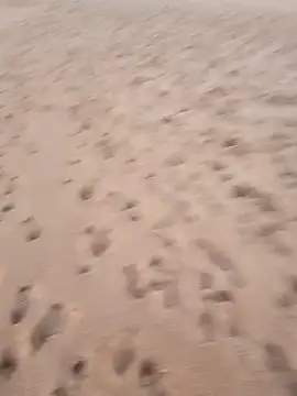 Snapshot of rodovlaz chatting on 09-17-25, 10:44 rodovlaz online show from 09-17-25, 10:44