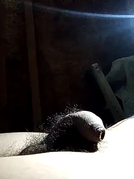 Snapshot of rodovlaz chatting on 11-12-25, 03:40 rodovlaz online show from 11-12-25, 03:40