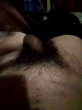 rodovlaz online show from 02-03-26, 06:51