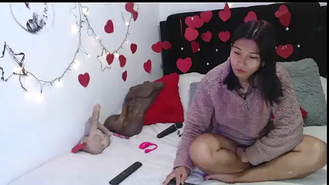 Snapshot of Sofynix chatting on 02-15-25, 01:38 Sofynix online show from 02-15-25, 01:38