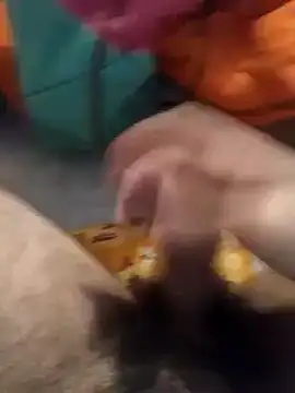 jon763 online show from 01-10-25, 02:45