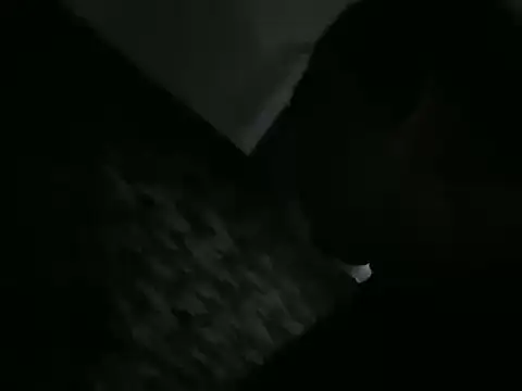 ALPHANDRE online show from 03-09-26, 07:29