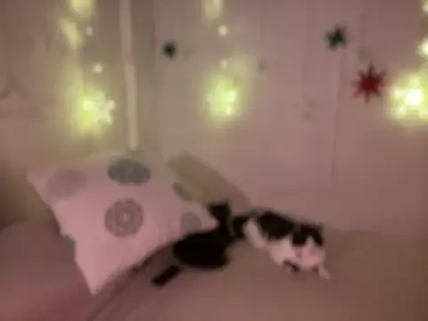 Snapshot of Im_sophiie chatting on 12-19-24, 08:45 Im sophiie online show from 12-19-24, 08:45