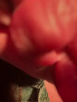 Snapshot of Im_sophiie chatting on 02-13-25, 05:58 Im sophiie online show from 02-13-25, 05:58