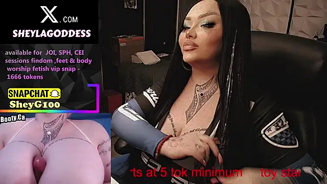 sheylagoddess11 online show from 03-25-26, 02:39