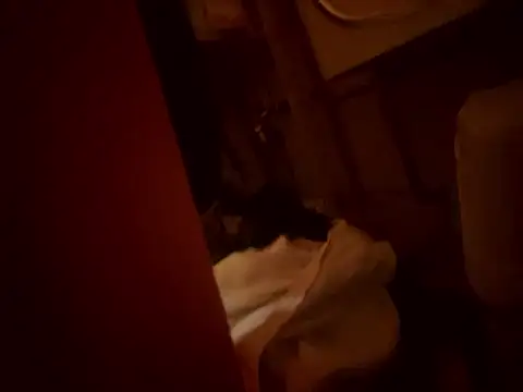 Snapshot of Dannadcz chatting on 03-24-26, 08:25 Dannadcz online show from 03-24-26, 08:25