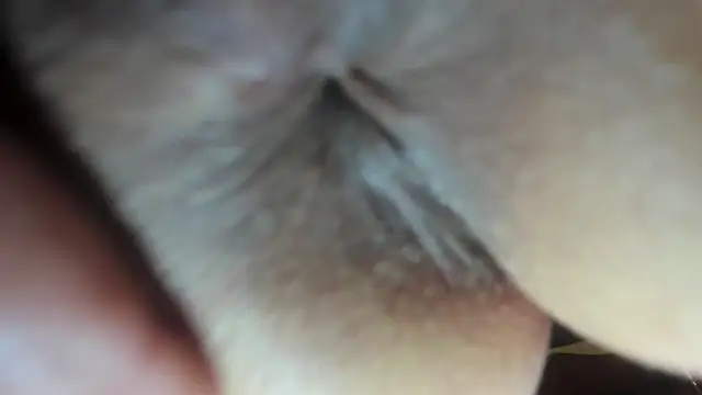 FrumCake online show from 12-21-24, 03:47