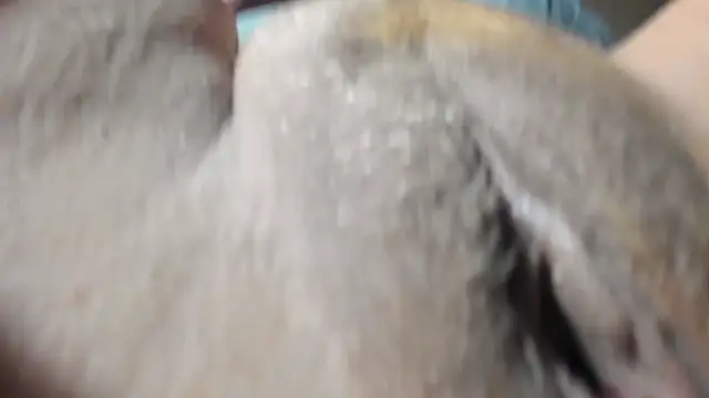 FrumCake online show from 12-27-24, 01:11