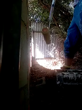 wilfukany1 online show from 02-24-25, 11:30