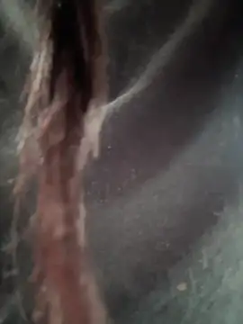 Snapshot of __IRIS__ chatting on 02-14-25, 04:31 IRIS online show from 02-14-25, 04:31