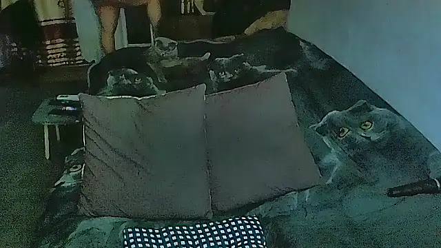 Snapshot of sex2 chatting on 02-28-26, 11:06 sex2 online show from 02-28-26, 11:06