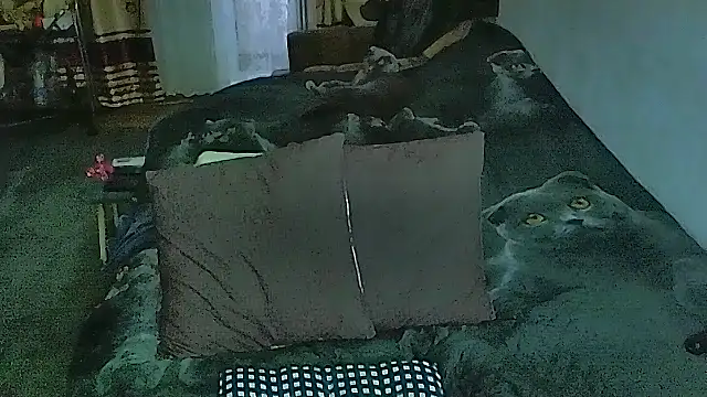 sex2 online show from 04-09-26, 12:43