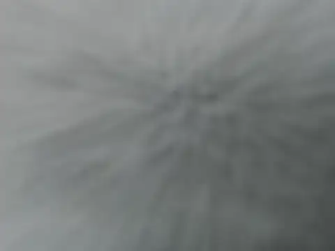 Lauren baby online show from 12-16-25, 11:21