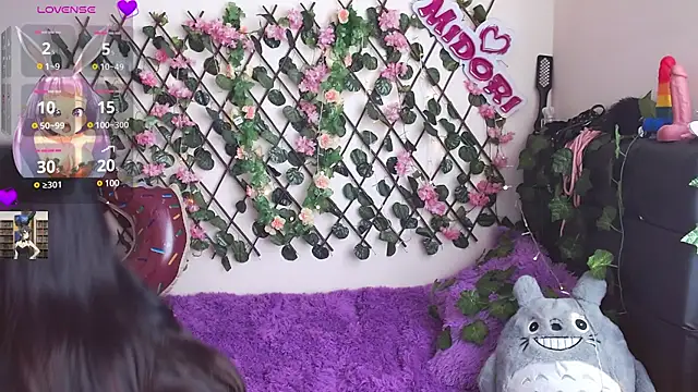 MidoriQuiinn online show from 01-28-25, 05:03