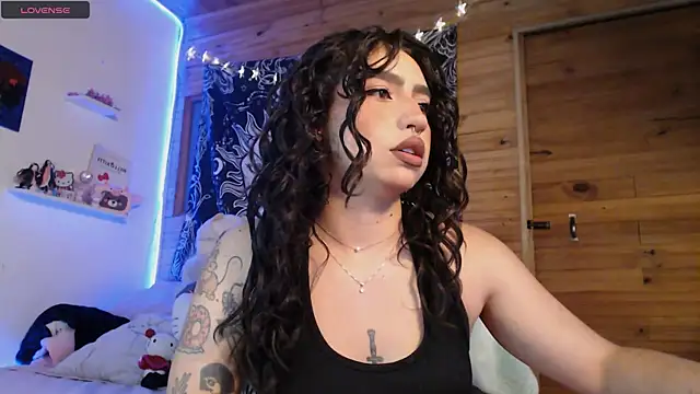 Snapshot of valenor_ chatting on 01-24-25, 03:11 valenor online show from 01-24-25, 03:11